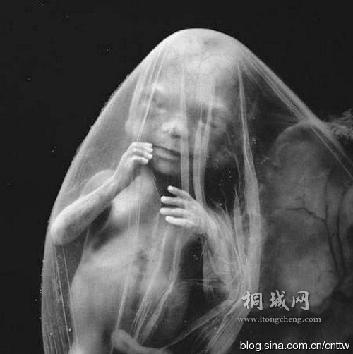 36�ܺ� �ӹ����ڽ�����̥����