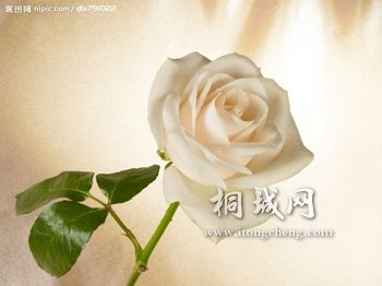 200832181324487_2.jpg
