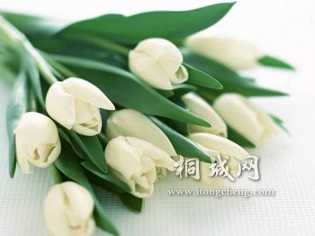 20090430_143929_347.jpg