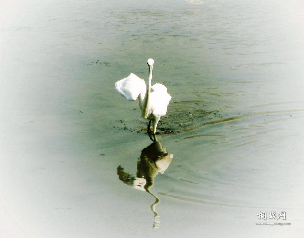 ڸpose.jpg