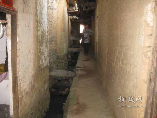 IMG_0228.jpg