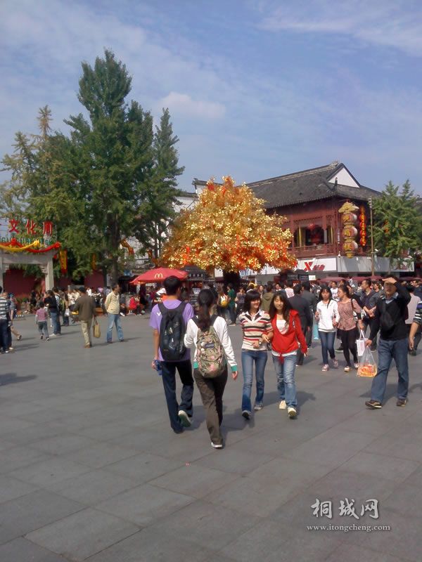 ת IMG1005131301.jpg
