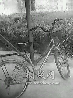 IMG0508A.jpg