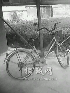 IMG0509A.jpg