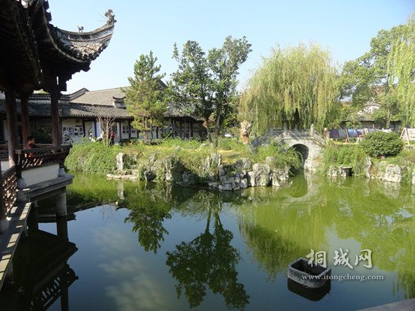 DSC008.jpg