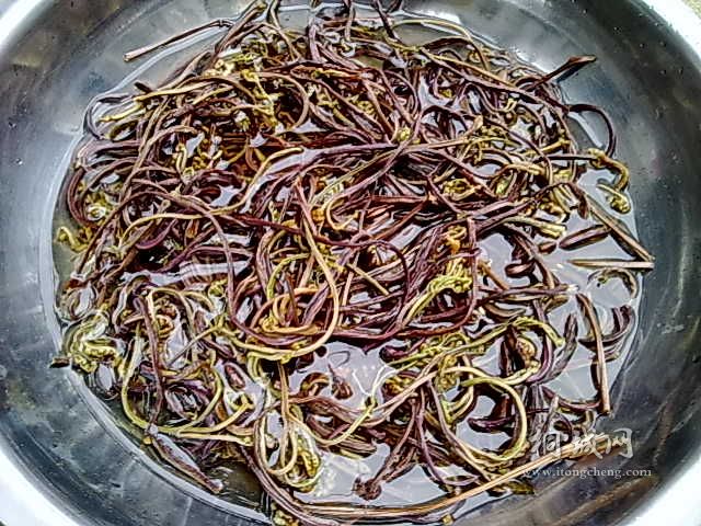 20110406453.jpg