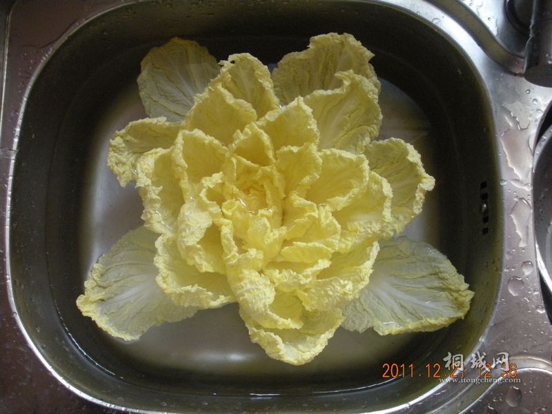 DSCN3212.JPG