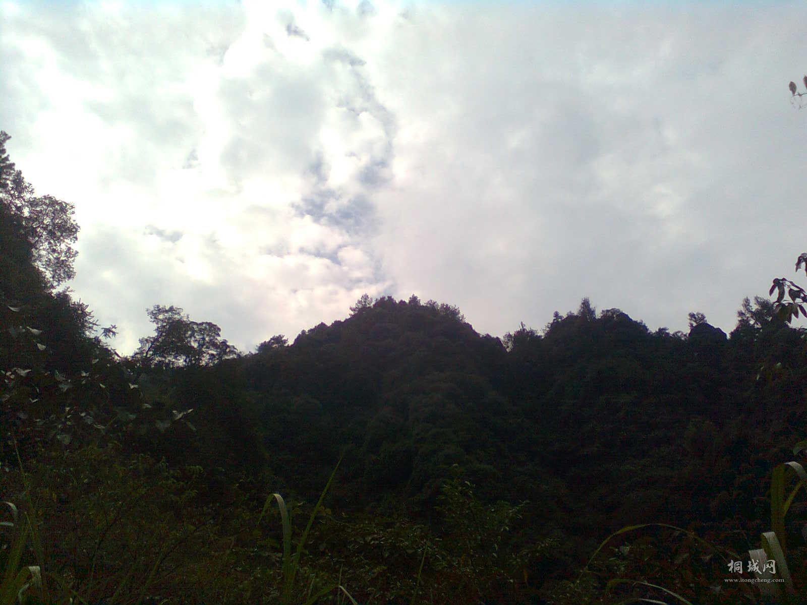 ͼ0945.jpg