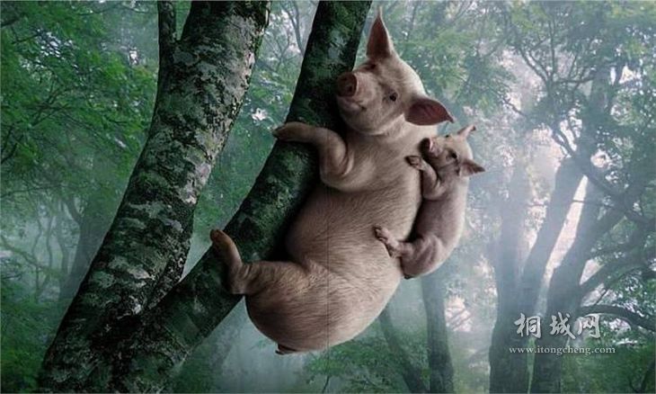 ���������� ����ʲô����.jpg