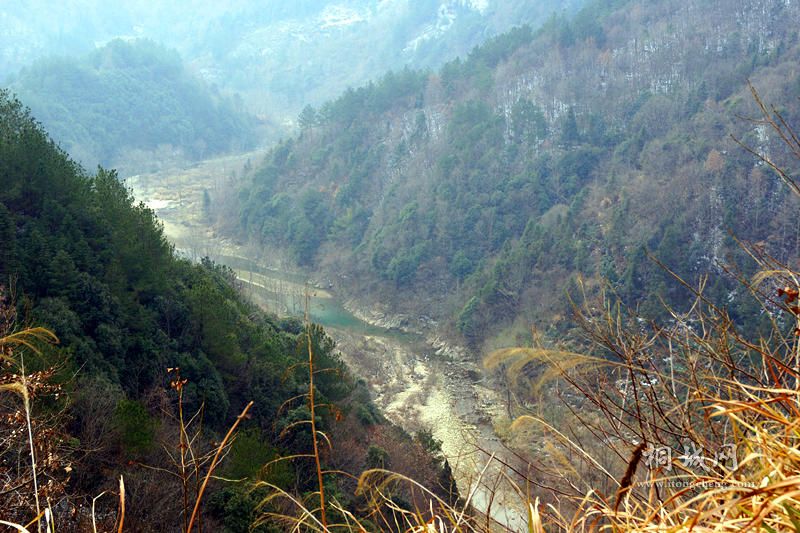 DSC01556_.jpg