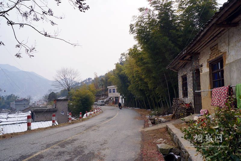 DSC01654_.jpg