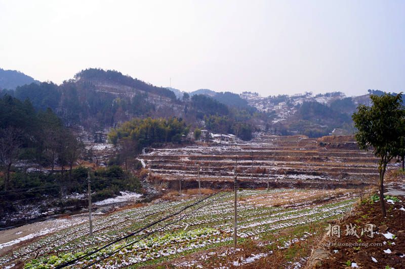 DSC01571_.jpg
