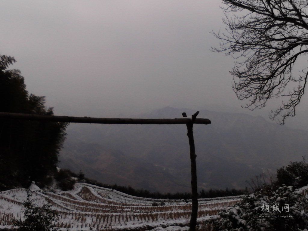 Camera_20120123_130452.jpg
