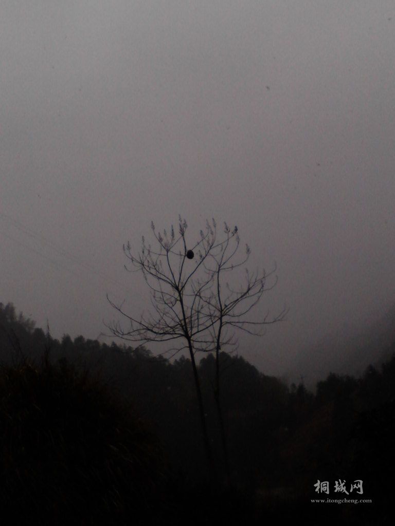 Camera_20120121_094735.jpg