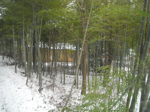 DSCN1075.JPG