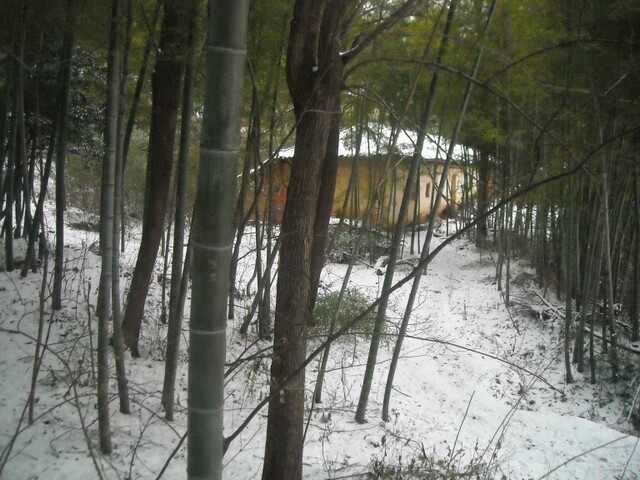 DSCN1077.JPG