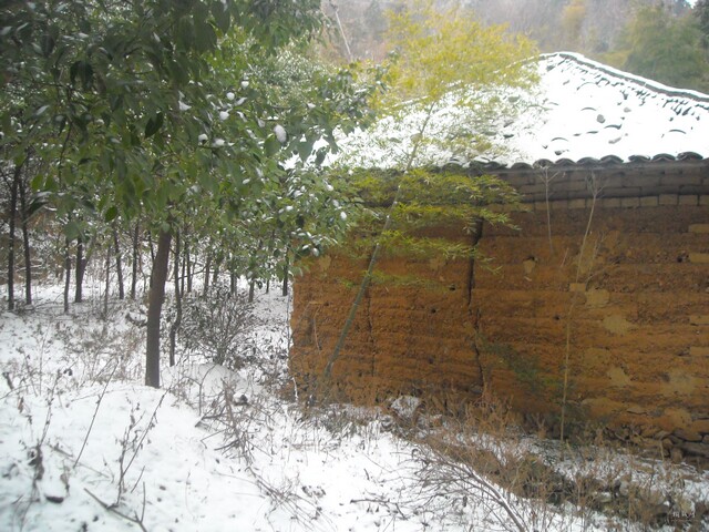 DSCN1078.JPG