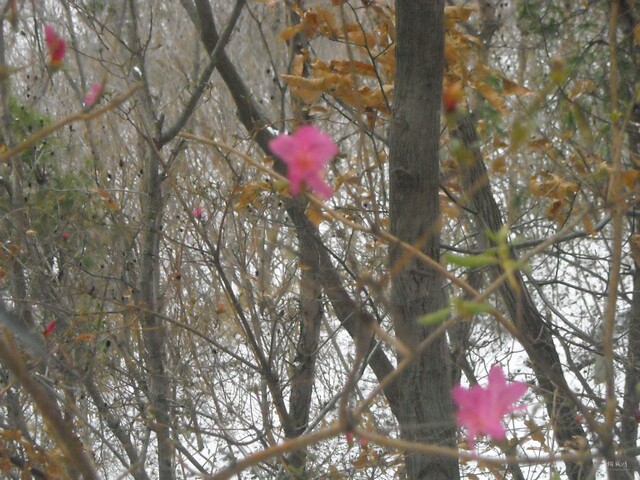 DSCN1088.JPG