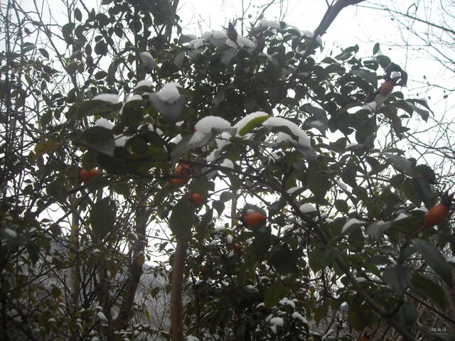DSCN1094.JPG