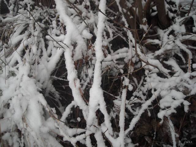 DSCN1092.JPG