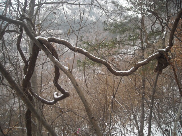 DSCN1097.JPG