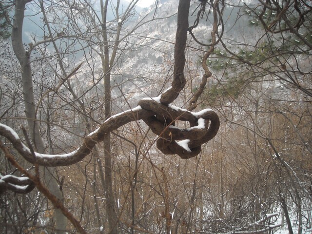 DSCN1098.JPG