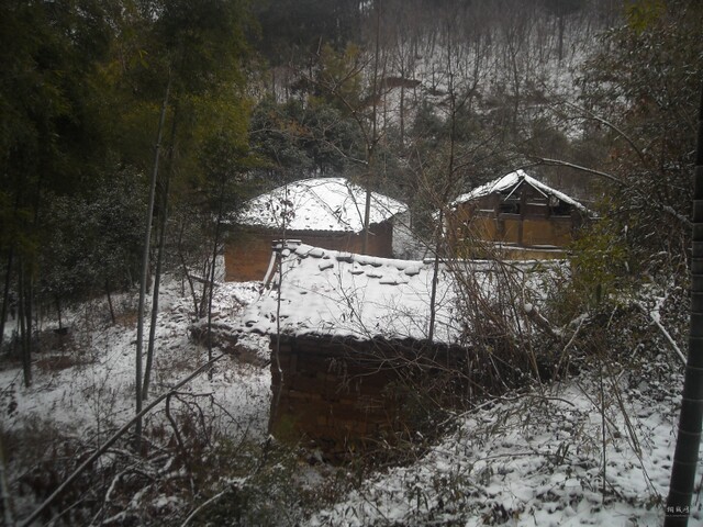 DSCN1103.JPG