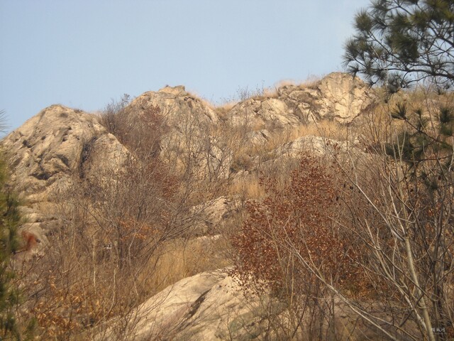 DSCN1118.JPG