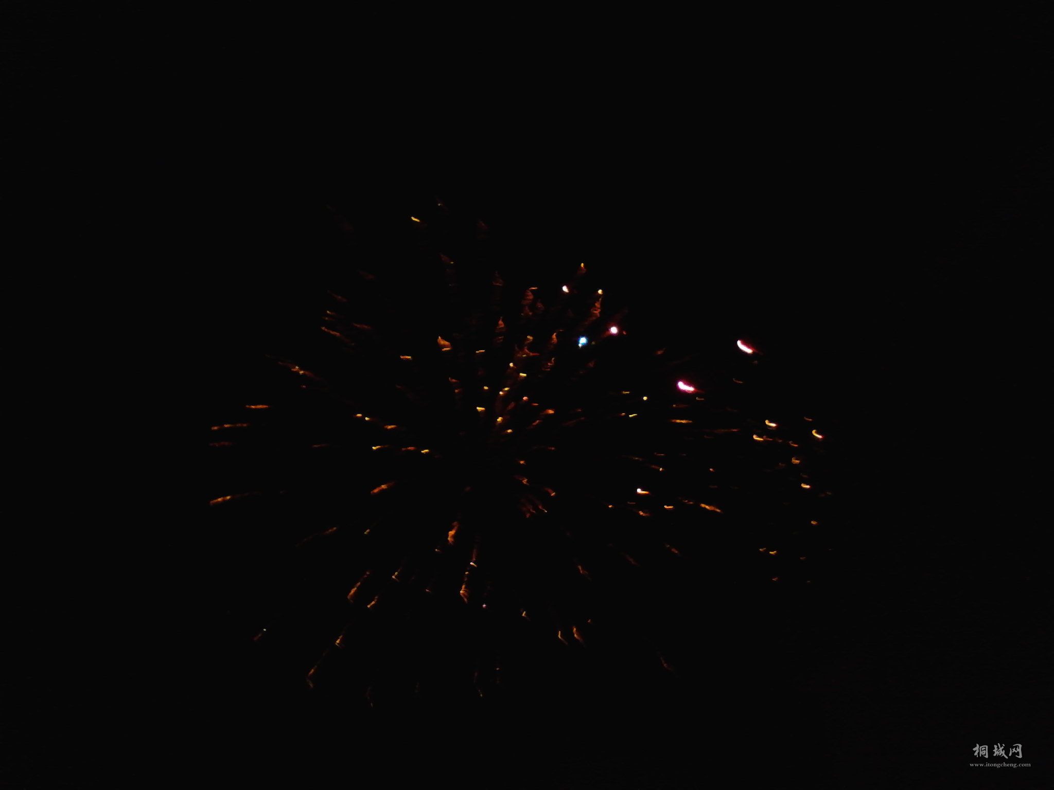 Camera_20120123_000902.jpg