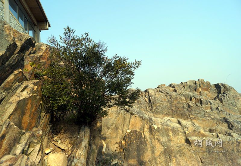 DSC01853_.jpg