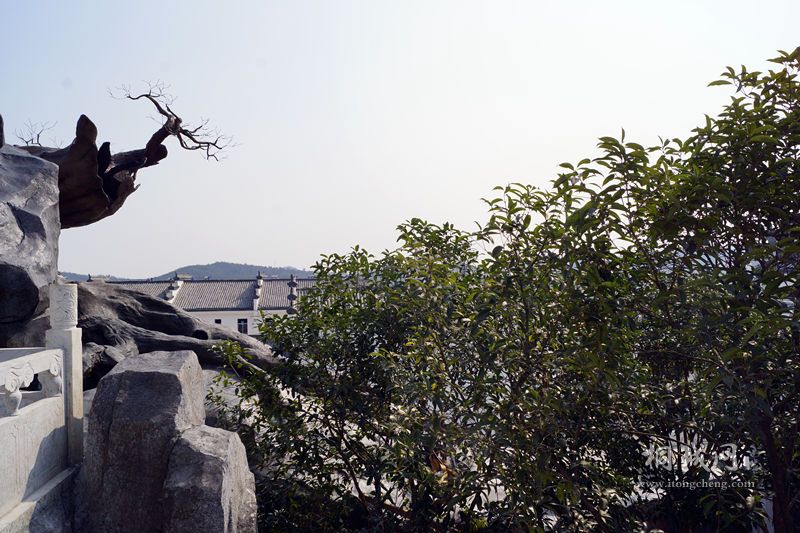 DSC01905_.jpg