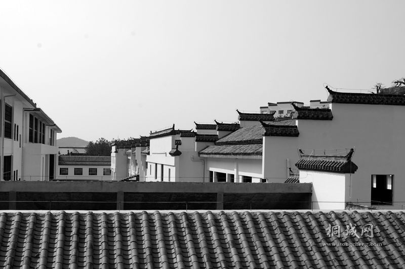 DSC01906_.jpg