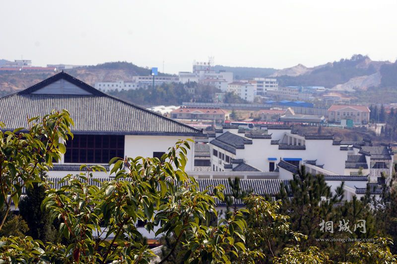 DSC01953_.jpg
