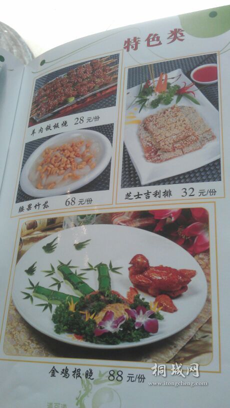 IMAG0264_compress.jpg