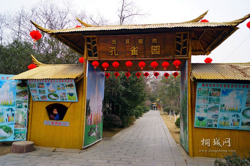 DSC02000_.jpg