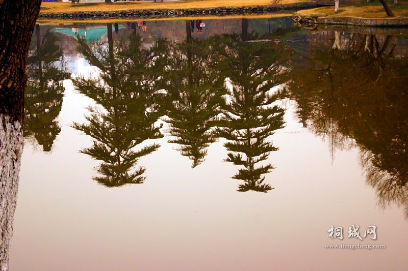 DSC02057_.jpg