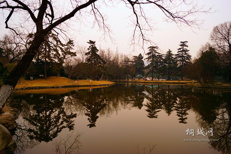 DSC02059_.jpg