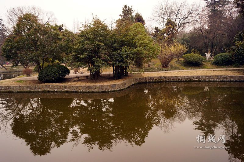 DSC02061_.jpg