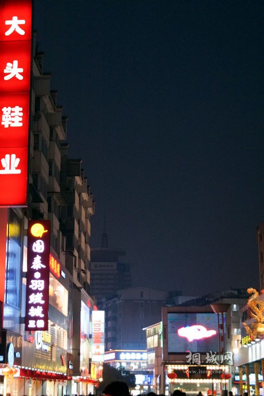 DSC02128_.jpg