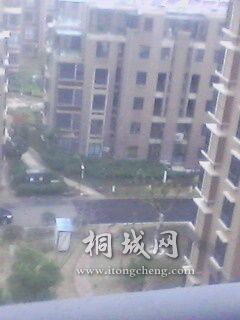 IMG0096A.jpg