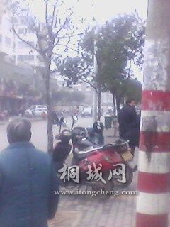 IMG0094A.jpg