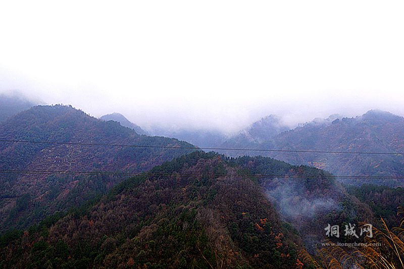 DSC02755_.jpg