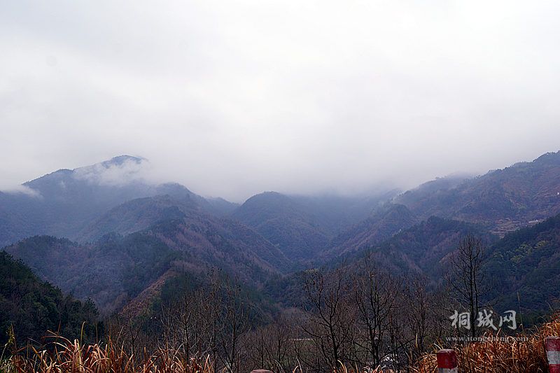 DSC02766_.jpg
