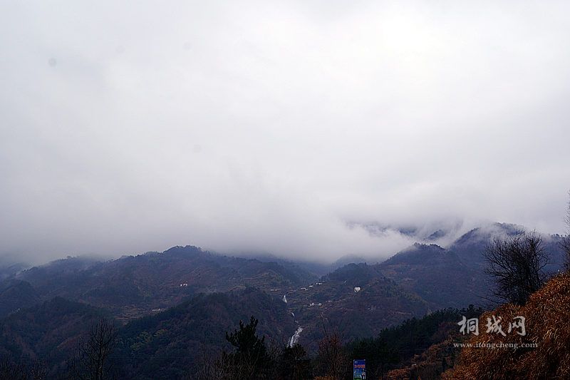 DSC02767_.jpg