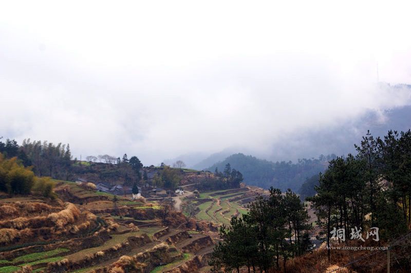 DSC02772_.jpg