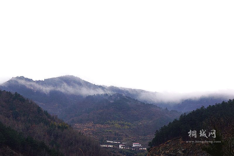 DSC02775_.jpg