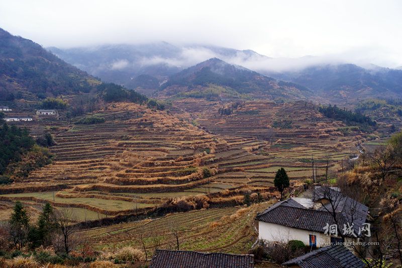 DSC02782_.jpg