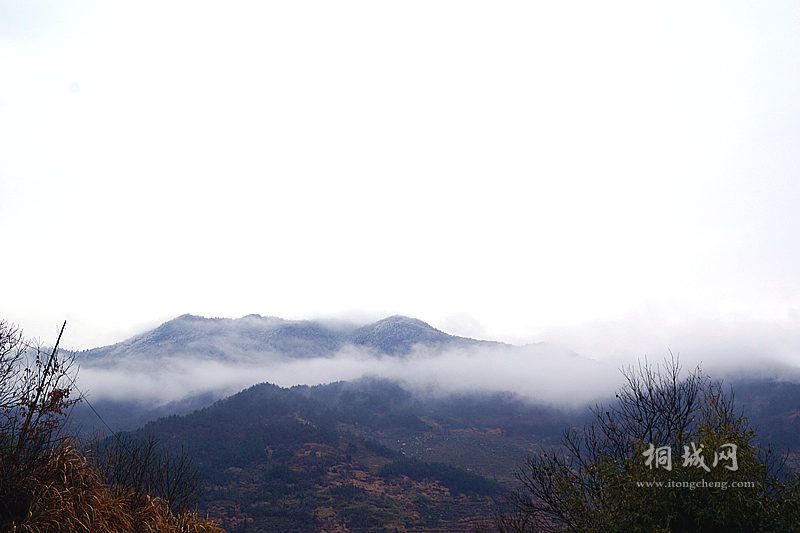 DSC02794_.jpg