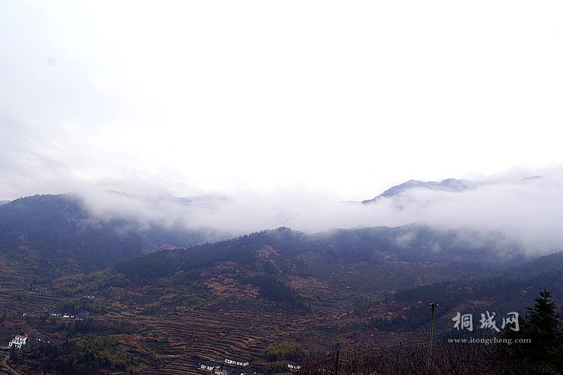 DSC02803_.jpg