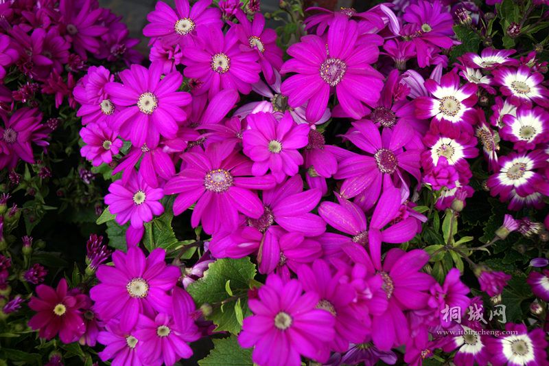 DSC02885_.jpg